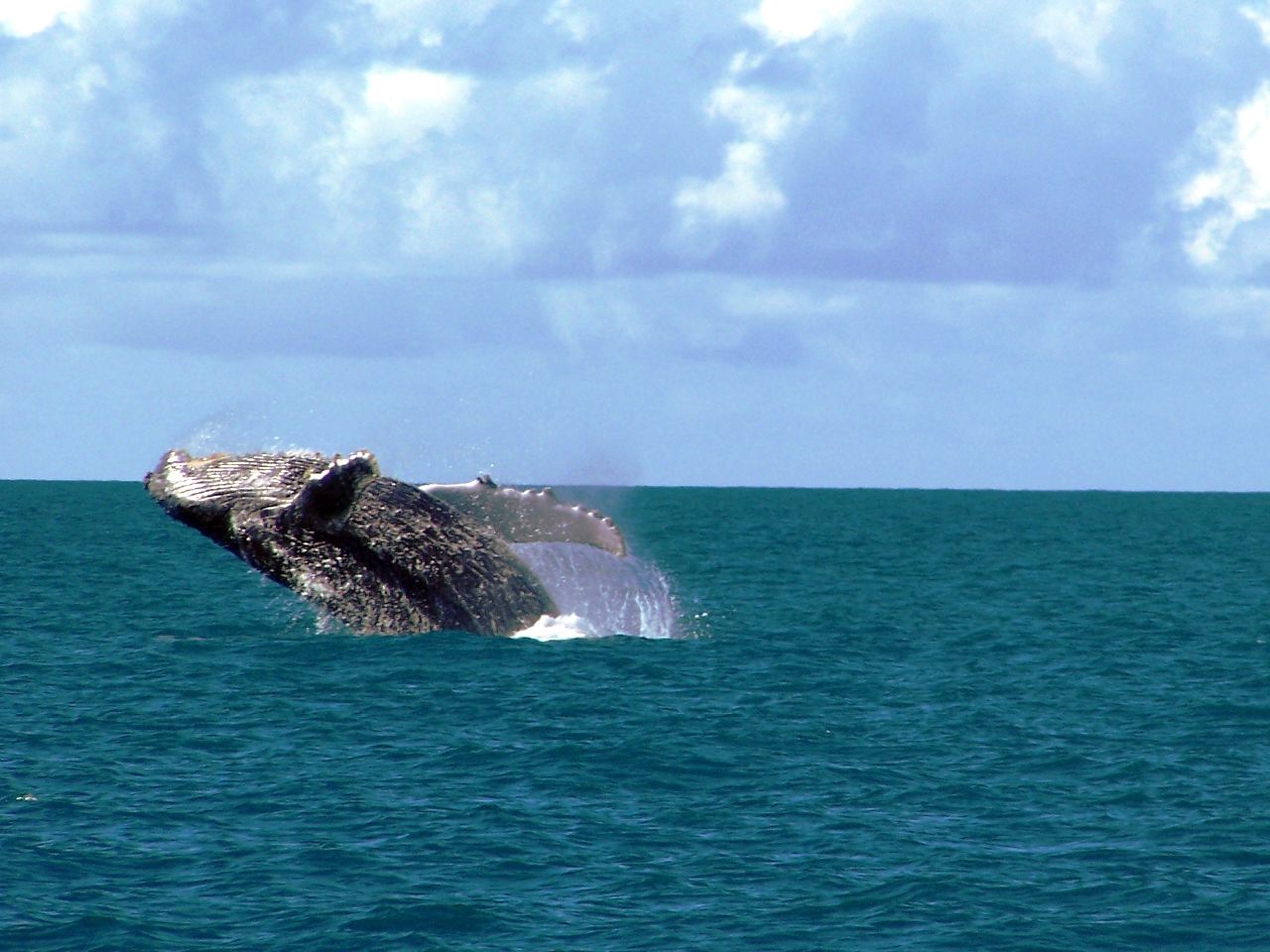 arquipélagos de abrolhos