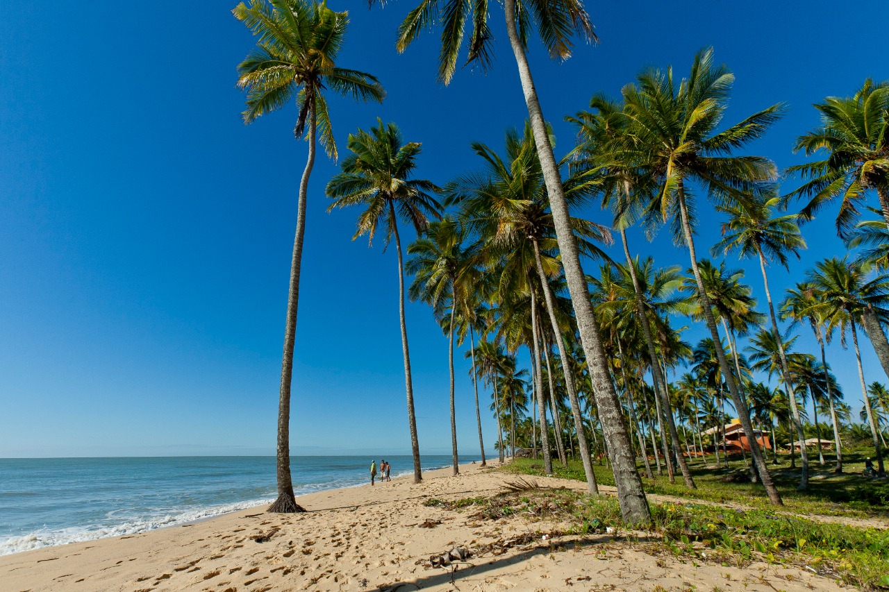 O que fazer em Prado na Bahia